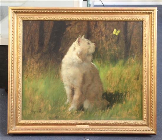 Artur Heyer (1872-1931) White cat watching a butterfly 21 x 25.5in.